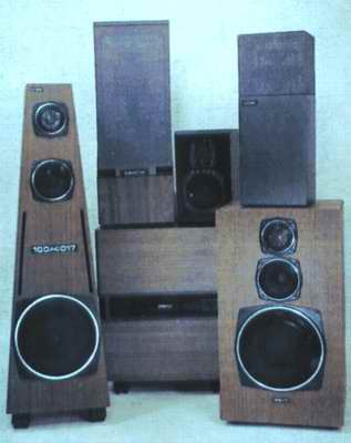 Примеры акустических систем отечественного производства.