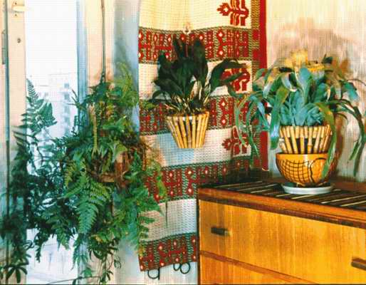 Комнатные растения в интерьере жилища и их декоративное оформление.